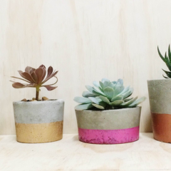 House your flora in a handmade Arc + Family pot