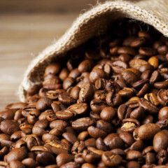 Enjoy locally grown coffee from Mount Tamborine Coffee Plantation