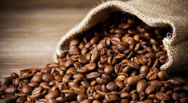 Enjoy locally grown coffee from Mount Tamborine Coffee Plantation