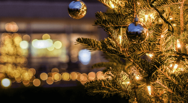 Tugun Lights Up Christmas Picnic