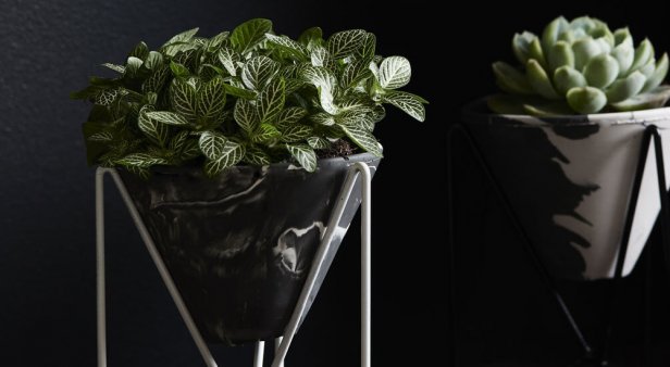 Pop your plants in glorious eco resin pots and vases from Capra Designs