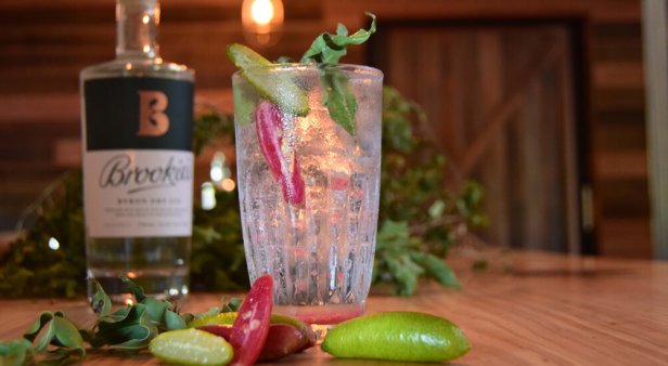 A native drop – Brookie&#8217;s rainforest gin puts Cape Byron Distillery on the map