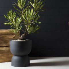 Pot your fancy plants in handcrafted pieces from Angus &#038; Celeste