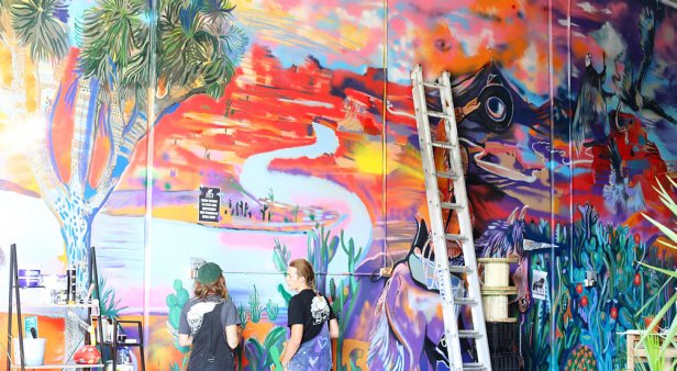 The coast&#8217;s newest music, events and arts venue, Mo&#8217;s Desert Clubhouse, swings open its colourful doors