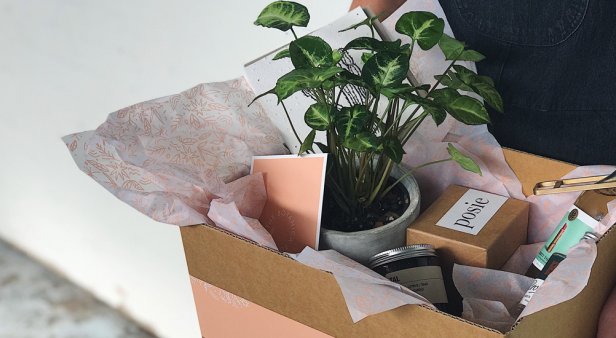 Plant-based gifts – The Borrowed Nursery unveils The Botanica Box