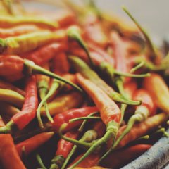 Spice up your life at the Chinderah Chilli Festival