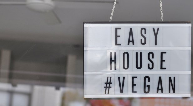 Easy House Vegetarian