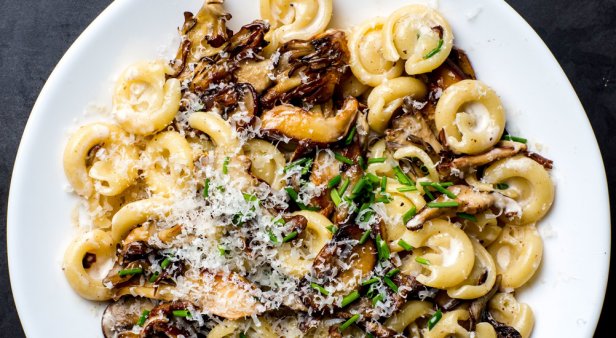 Five hearty pasta recipes to warm your bones and soothe your soul