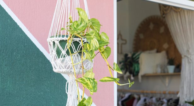 Shop up a storm at Mermaid&#8217;s new homewares and clothing boutique Winston &#038; Willow