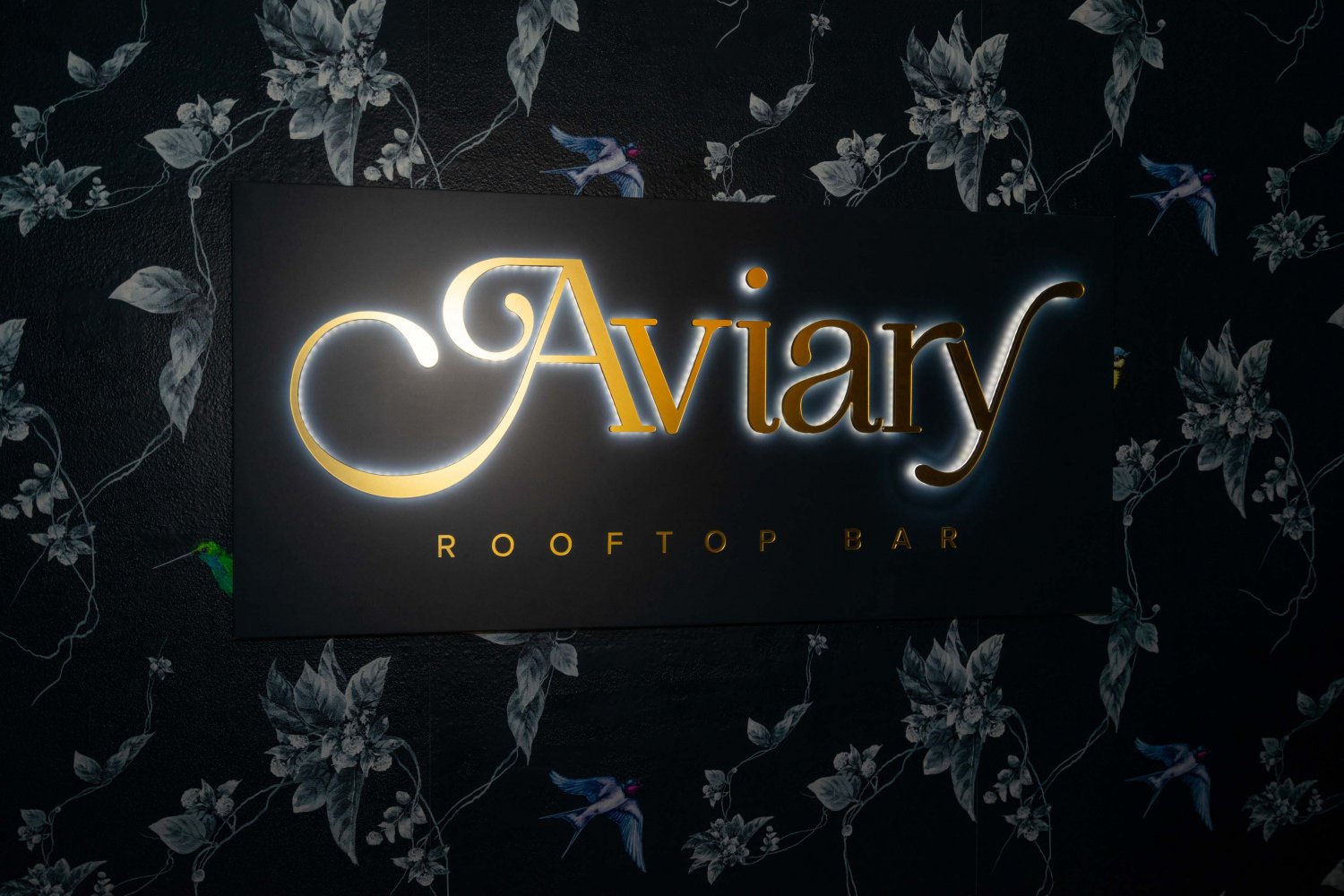 Aviary Rooftop Bar opening