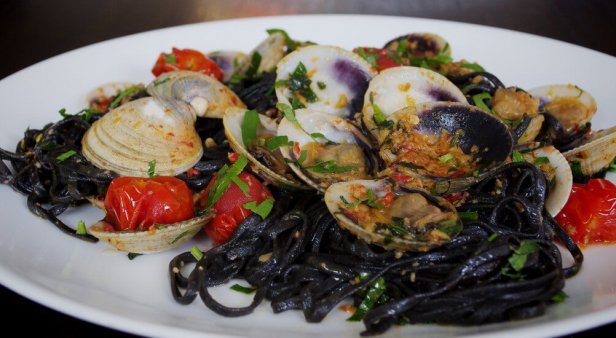 The round-up: plunge a fork into the coast&#8217;s top pasta dishes