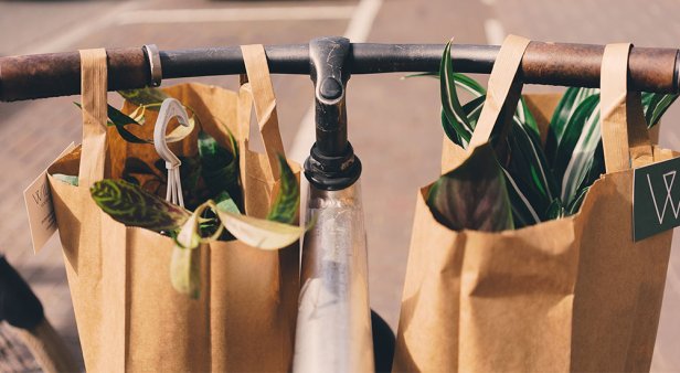 Get ready – Queensland’s plastic shopping bag ban goes into effect from July 1