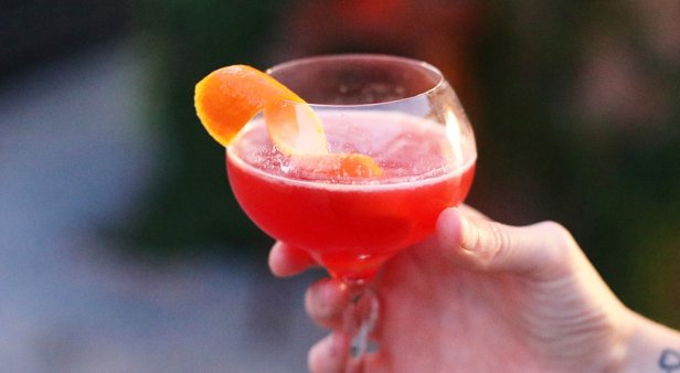 Start your week on the right note with Iku&#8217;s Monday night cocktail degustations