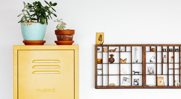 Cure your storage woes with Mustard Made lockers