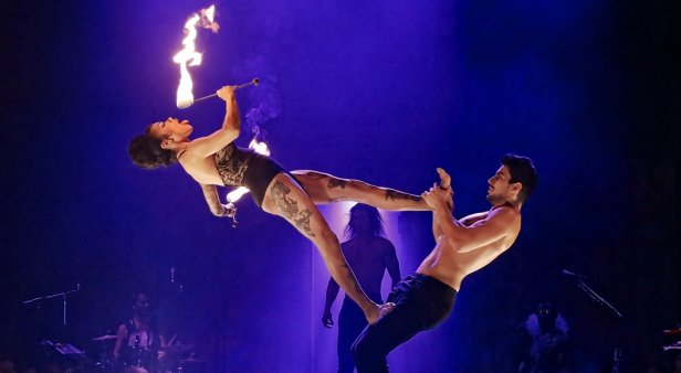 How low can you go – Strut &#038; Fret brings the spiegeltent back with new show LIMBO Unhinged