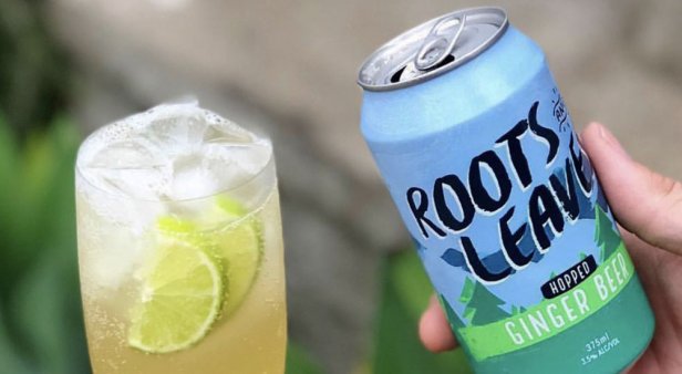 Roots and Leaves is the gluten-free, vegan, low-carb summer beverage you need in your life