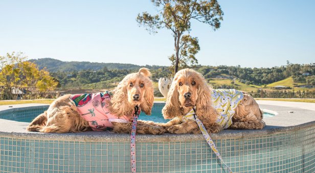 Match your best furry mate with threads and accessories from Pablo &#038; Co.