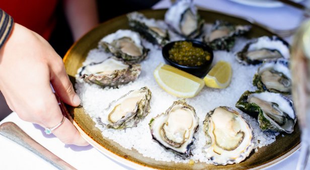 Indulge in some of life&#8217;s finest at Main Beach&#8217;s Oyster Bar &#038; Grill