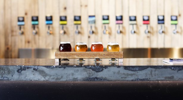 The round-up: blow the froth off at some of the Gold Coast’s best craft-beer breweries