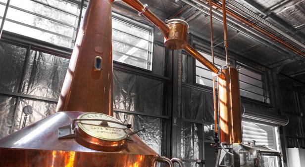 Going with the grain – the distillery behind Brookie&#8217;s Gin announces its foray into whisky