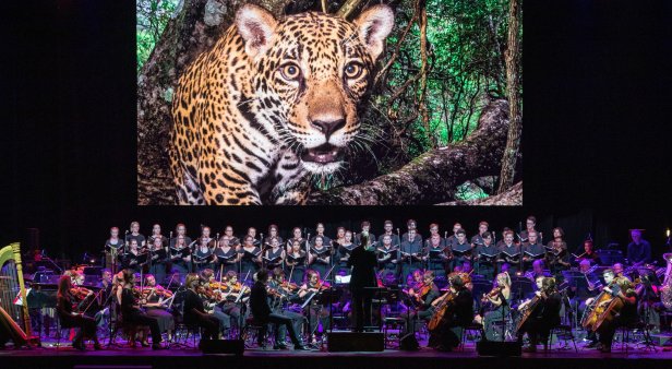 National Geographic – Symphony for Our World