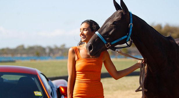 Polo by the Sea 2019
