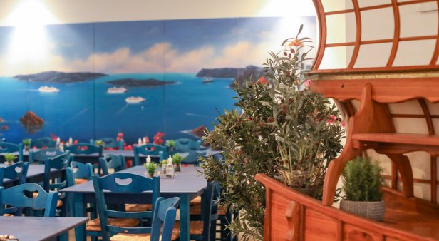 Elia Greek Island Taverna