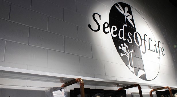 SeedsOfLife