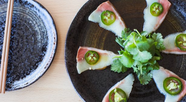 Mermaid Waters welcomes new Japanese dining den Project Tokyo
