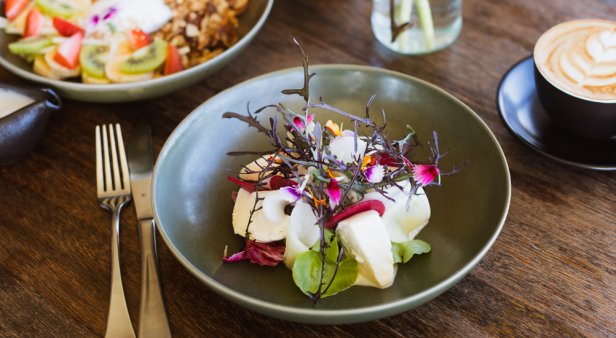 As fresh as it gets – Farm &#038; Co puts its own produce on plates with its new on-site cafe