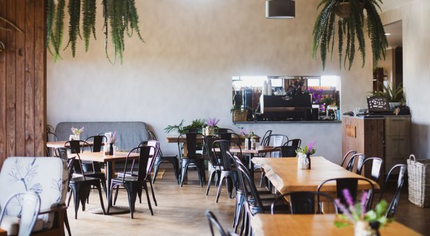 As fresh as it gets – Farm &#038; Co puts its own produce on plates with its new on-site cafe