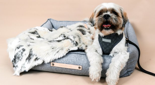 Spoil your pupper pal with a luxe lead from Topdog Boutique
