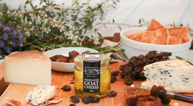 Bite-sized delight – spruce up your work lunch and life with a (tiny) jar of Meredith Dairy Goat Cheese