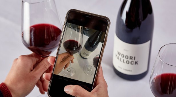 Fancy a specific drop? TextWine is your own personal sommelier