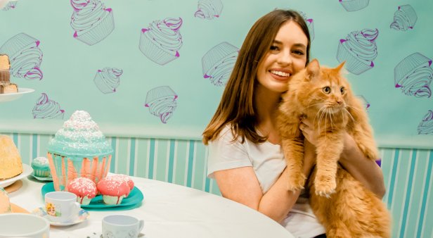 A pop-up &#8216;Insta museum&#8217; for pets is landing on the Gold Coast this summer