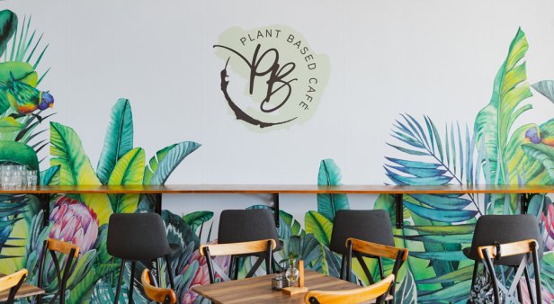 Enjoy nourishing nosh at colourful new Paradise Point arrival Plant Based Cafe