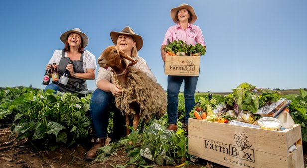 From the farm to the coast – Scenic Rim Farm Box brings the best local produce to your door