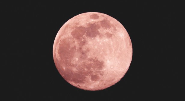 Pretty in pink – a strawberry moon is set to light up the sky early tomorrow morning