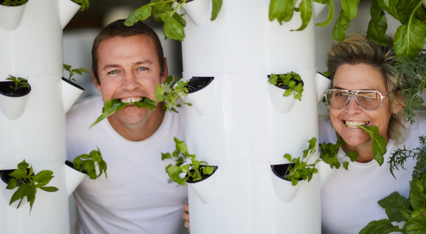 Grow your own produce (and a green thumb) with airgarden