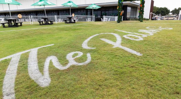 Birkbecks Jewellers Pink Ribbon Cup Raceday