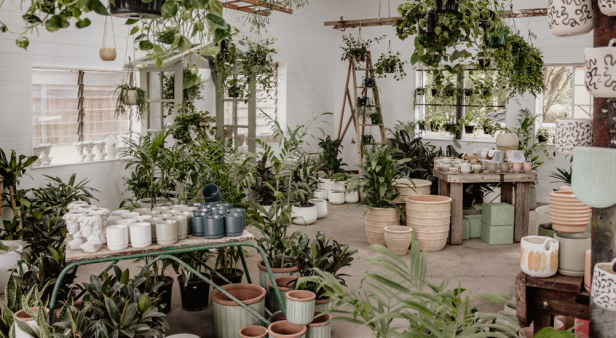 The Borrowed Nursery plants a new Brisbane location at Colwill Place