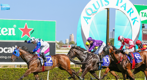 The round-up: Giddy up! Hot tips on where to spend Melbourne Cup on the Gold Coast