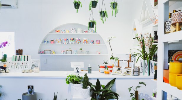 Greenfolk expands its urban jungle to a leafy new space in Burleigh Heads