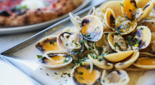 Matteo&#8217;s brings Italian bites, pizza and vino to Clear Island Waters