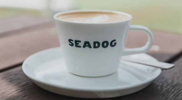 Seadog in the park