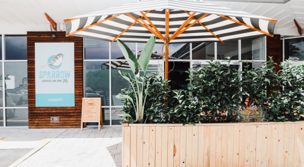 Get specialty sips on-the-go at Sparrow Coffee Co&#8217;s new coffee dispensary in West Burleigh