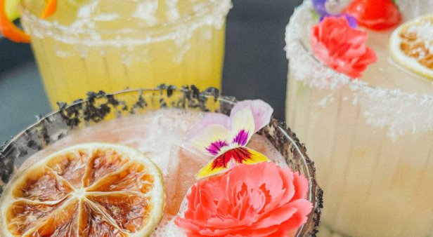 Marg it up at some of the coast&#8217;s favourite bars in February