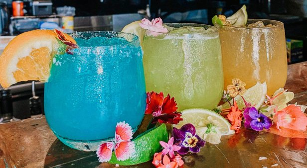 Marg it up at some of the coast&#8217;s favourite bars in February