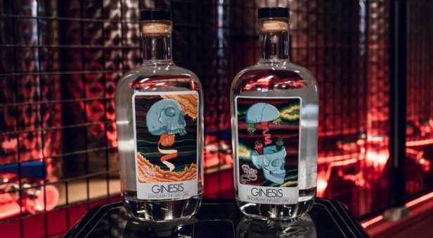 The round-up: replenish your home bar with spirits from Southeast Queensland&#8217;s best craft distilleries