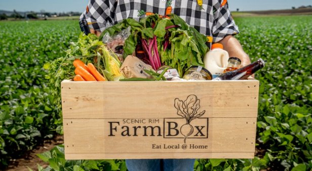 Forget empty supermarket shelves – the best fruit, veg and meat boxes to get delivered